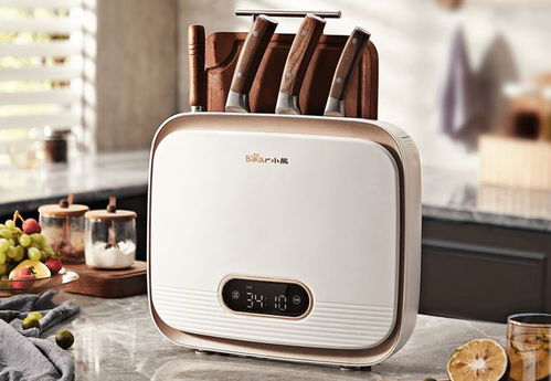 小熊電器增收又增利,誰還在為網紅小家電買單