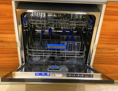 種草已久的洗碗機 是真解放雙手 還是雞肋家電